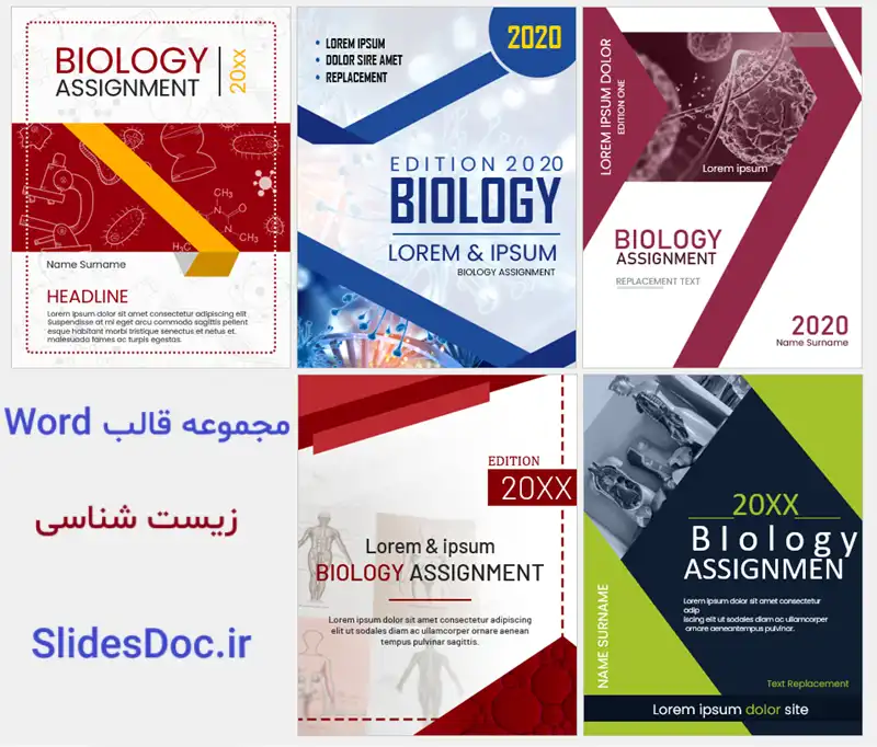Biology word templates slidesdoc ir