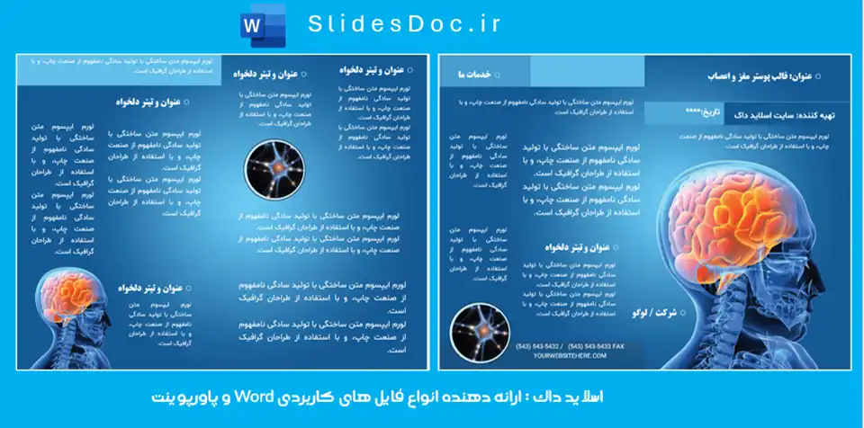 قالب بروشور مغز و اعصاب word 11 قالب بروشور مغز و اعصاب word
