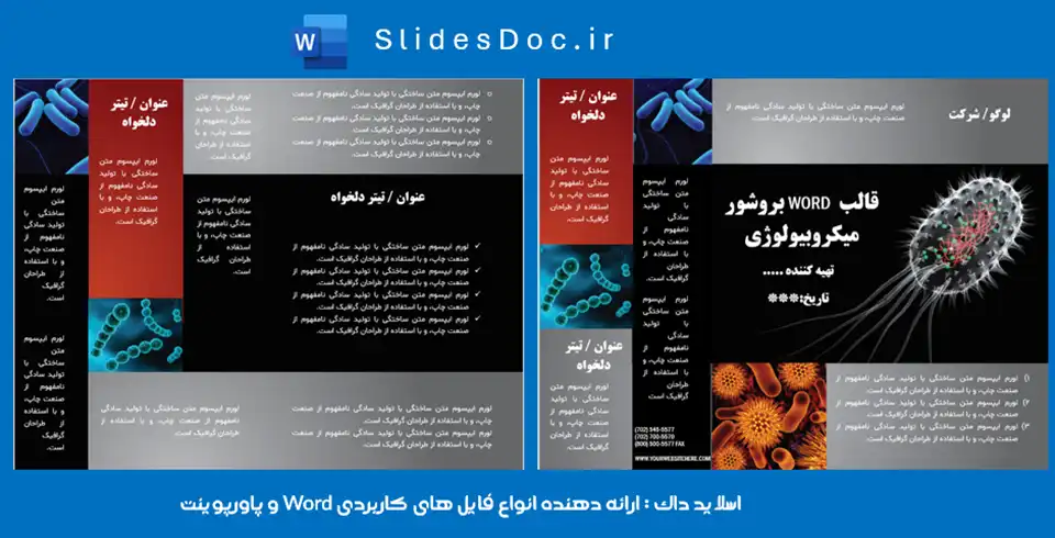 قالب بروشور میکروبیولوژی word 11 قالب بروشور میکروبیولوژی word