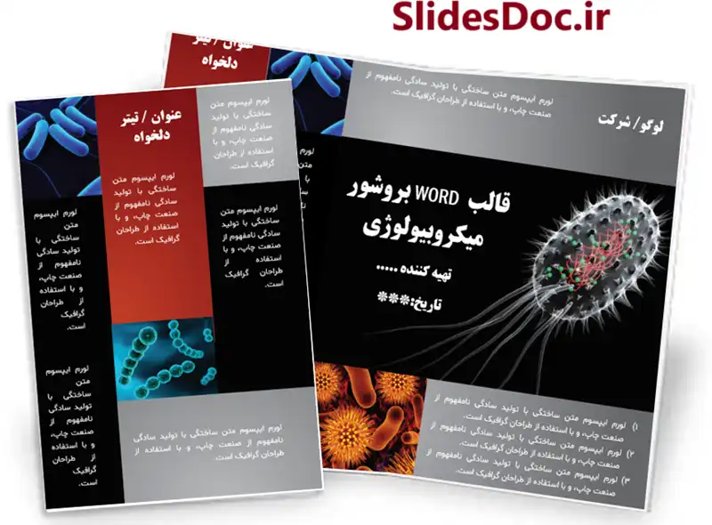 قالب بروشور میکروبیولوژی