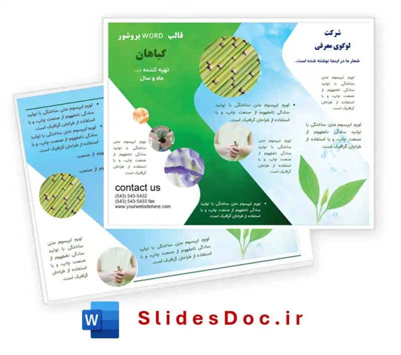 دانلود قالب بروشور گیاه زیست شناسی word