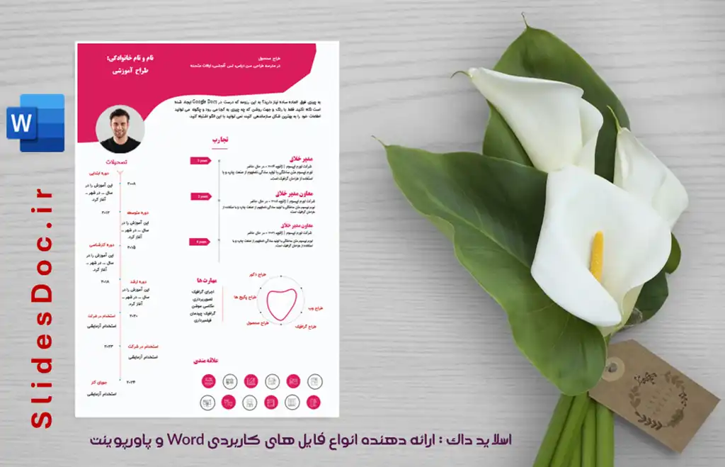 قالب word رزومه طراح حرفه ای