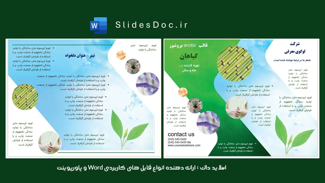 قالب بروشور گیاه زیست شناسی word