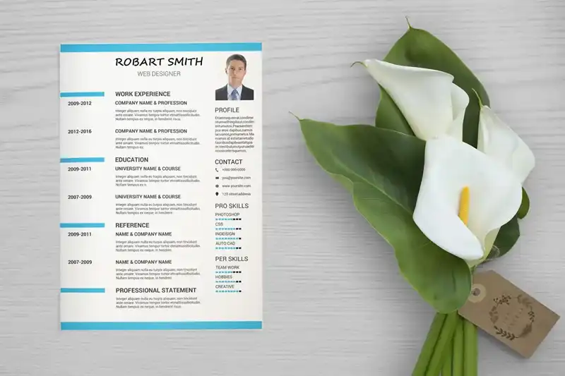 قالب رایگان ورد رزومه WEB DESIGNER