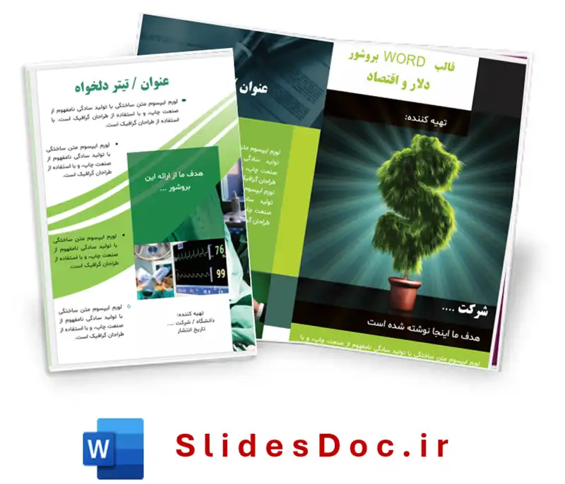 قالب WORD بروشور دلار و اقتصاد