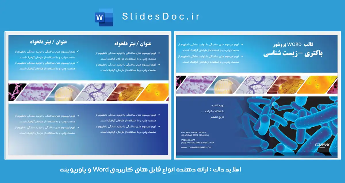 دانلود قالب WORD بروشور باکتری زیست شناسی
