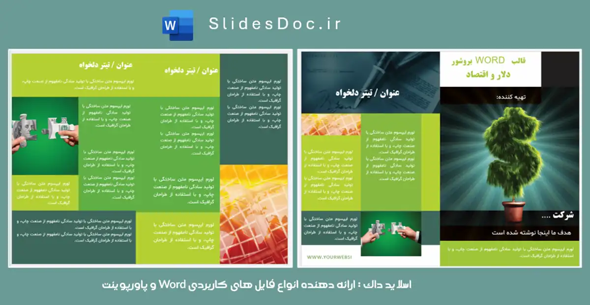 دانلود قالب WORD بروشور دلار و اقتصاد