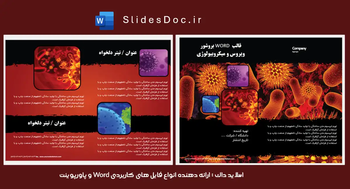 قالب WORD بروشور ویروس و میکروبیولوژی 11 دانلود قالب WORD بروشور ویروس و میکروبیولوژی