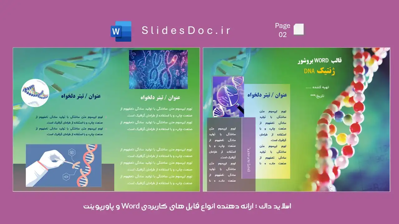 قالب ورد بروشور ژنتیک DNA 11 دانلود قالب ورد بروشور ژنتیک DNA