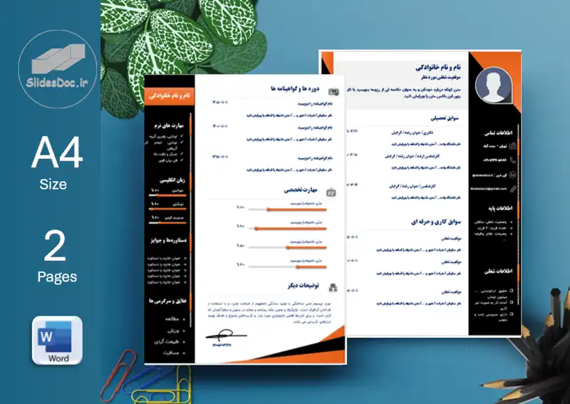 دانلود قالب رزومه دو صفحه ی حرفه ای